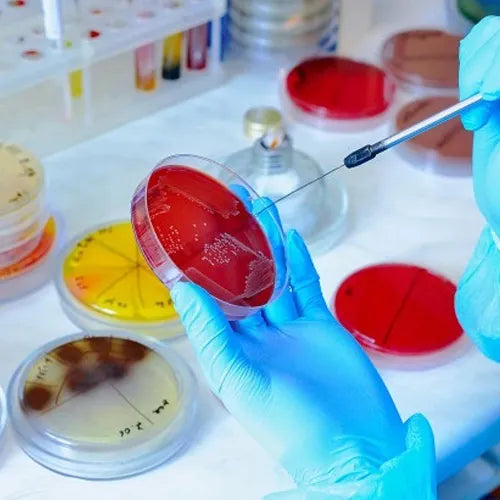 MCD LAB